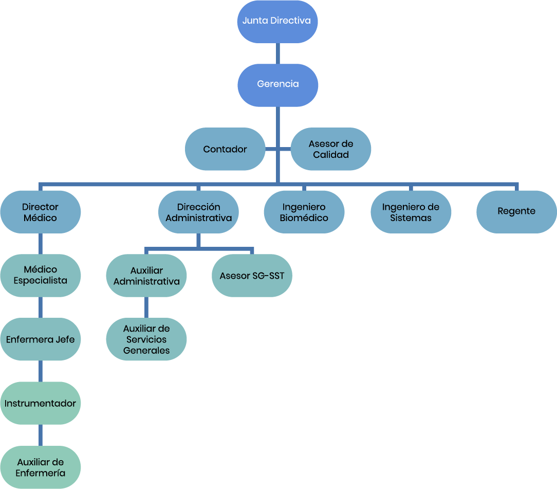 Organigrama del plan estratégico de Clinmedic Pereira
